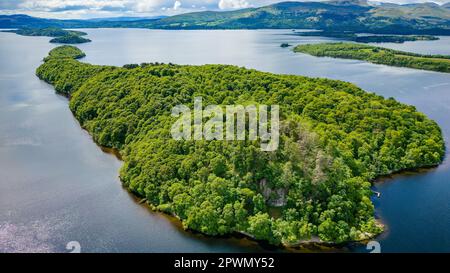 Vue sur les petites îles du Loch Lomond (Highlands, Écosse) Banque D'Images