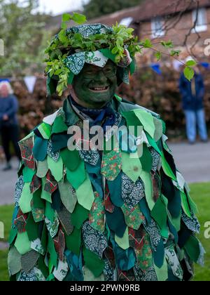 Aldbury village, Royaume-Uni 1st mai 2023. Le Green man, une figure traditionnelle dans Morris Dancing.avez-vous jamais été à un pub appelé le Green Man? Il s'agit d'un homme vert, l'homme vert remonte à l'époque médiévale et a été « la figure centrale des célébrations du jour de mai dans toute l'Europe du Nord et centrale ». Comme le Green Man est également représenté avec des acornes et des feuilles d'aubépine, il a été considéré comme un symbole de la fertilité et de la renaissance, représentant le cycle de la nouvelle croissance qui se produit chaque printemps. Sue Thatcher/Alay Live News Banque D'Images