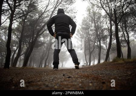 Détail d'une promenade dans les bois par une froide journée d'hiver Banque D'Images