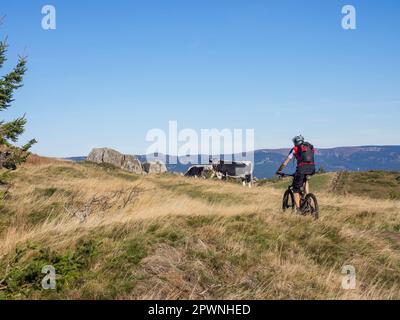 Homme à vélo de montagne électrique lors d'une excursion en vélo dans les Vosges, France Banque D'Images