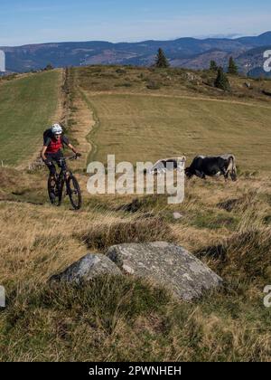 Homme à vélo de montagne électrique lors d'une excursion en vélo dans les Vosges, France Banque D'Images