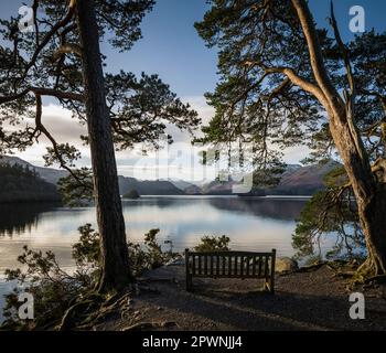 Friars Crag, Derwentwater, Keswick, English Lake District. Banque D'Images