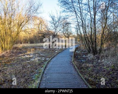 Sentier de promenade traversant la réserve naturelle d'Askham Bog en hiver, York, Angleterre Banque D'Images