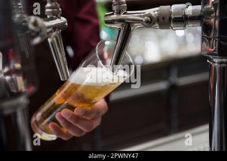 Mains au robinet de bière verser la bière dans un grand verre Banque D'Images