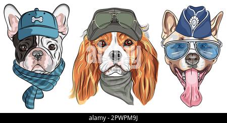 Ensemble vectoriel de chiens en chapeau, cavalier King Charles Spaniel, Bulldog français et American Akita race Illustration de Vecteur