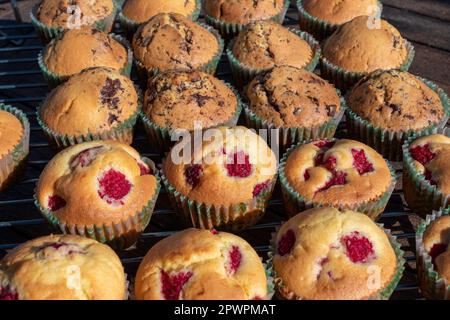 gros plan sur les muffins aux canneberges et au chocolat faits maison Banque D'Images