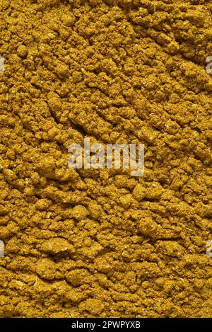 Le curry jaune sec comprenait du curcuma moulu, du cumin, de la coriandre, du gingembre et des piments séchés. Prise de vue macro de texture ou d'arrière-plan. Banque D'Images