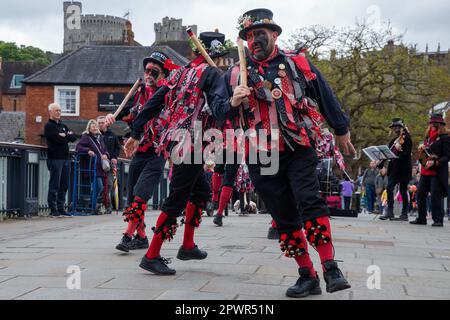 Windsor, Royaume-Uni. 1st mai 2023. Morris Dancers de Datchet Border Morris fête le jour de mai sur le pont de Windsor. May Day est un ancien festival européen marquant le début de l'été. Datchet Border Morris est un côté de danse entièrement masculin de Datchet dans le Berkshire, avec des couleurs rouge et noir dérivant de Buckinghamshire dont Datchet faisait partie à l'origine. Crédit : Mark Kerrison/Alamy Live News Banque D'Images