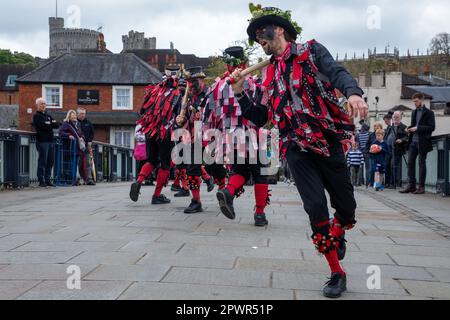 Windsor, Royaume-Uni. 1st mai 2023. Morris Dancers de Datchet Border Morris fête le jour de mai sur le pont de Windsor. May Day est un ancien festival européen marquant le début de l'été. Datchet Border Morris est un côté de danse entièrement masculin de Datchet dans le Berkshire, avec des couleurs rouge et noir dérivant de Buckinghamshire dont Datchet faisait partie à l'origine. Crédit : Mark Kerrison/Alamy Live News Banque D'Images