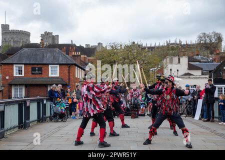 Windsor, Royaume-Uni. 1st mai 2023. Morris Dancers de Datchet Border Morris fête le jour de mai sur le pont de Windsor. May Day est un ancien festival européen marquant le début de l'été. Datchet Border Morris est un côté de danse entièrement masculin de Datchet dans le Berkshire, avec des couleurs rouge et noir dérivant de Buckinghamshire dont Datchet faisait partie à l'origine. Crédit : Mark Kerrison/Alamy Live News Banque D'Images