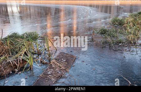 Passerelle dans la rivière ICE au début de l'hiver. Il y a un peu de roseau sur un fond de glace bleue avec des bulles d'air. Paysage d'hiver Banque D'Images