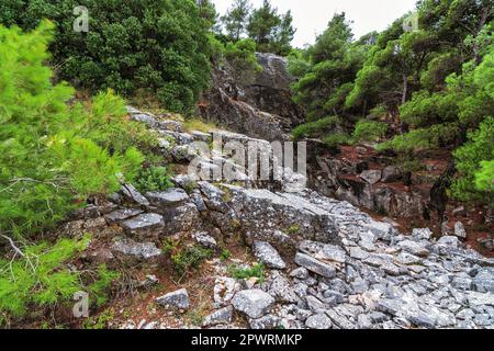 Partie d'une carrière de marbre de Penteli abandonnée à Attika, Grèce. Penteli est une montagne, à 18 km au nord d'Athènes, d'où la pierre a été fournie pour les contre Banque D'Images