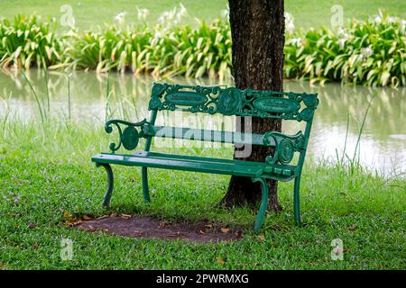 Chaise dans un parc sous un arbre Banque D'Images