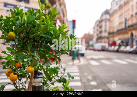 Vue générale sur la rue depuis Paris, la capitale française. Architecture française typique et vue sur la ville. Banque D'Images