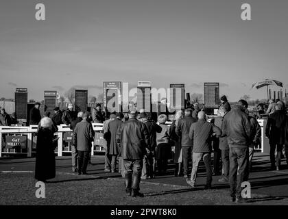 Paris et spectateurs plaçant des Paris à l'hippodrome de Wincanton dans le Somerset Banque D'Images