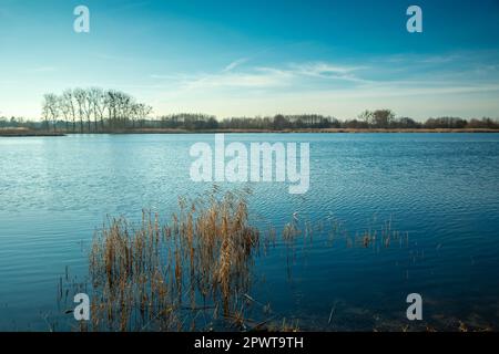 Un lac intensément bleu dans l'est de la Pologne, vue de janvier Banque D'Images