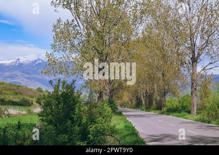 Route de montagne avec arbres en Bulgarie avec les montagnes de Rila en arrière-plan, près du monastère de Rila 'sveti Ivan Rilski' Banque D'Images