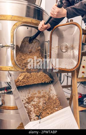L'écrasement de graines de malt broyé pour la préparation du malt. Processus de grain d'orge de brasserie. Banque D'Images