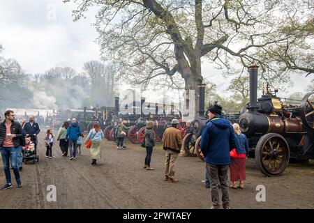 Antrim, Irlande du Nord. 1st mai 2023. Le rallye à vapeur du château de Shanes a eu lieu le dimanche 30th avril et le lundi 1st mai et a attiré des milliers de personnes. Les moteurs de traction à vapeur, les tracteurs, une foire d'amusement, les voitures classiques et les démonstrations d'oiseaux de proie n'étaient que quelques-unes des attractions. Crédit : AG News/Alay Live News Banque D'Images