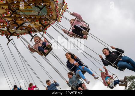 Antrim, Irlande du Nord. 1st mai 2023. Le rallye à vapeur du château de Shanes a eu lieu le dimanche 30th avril et le lundi 1st mai et a attiré des milliers de personnes. Les moteurs de traction à vapeur, les tracteurs, une foire d'amusement, les voitures classiques et les démonstrations d'oiseaux de proie n'étaient que quelques-unes des attractions. Crédit : AG News/Alay Live News Banque D'Images