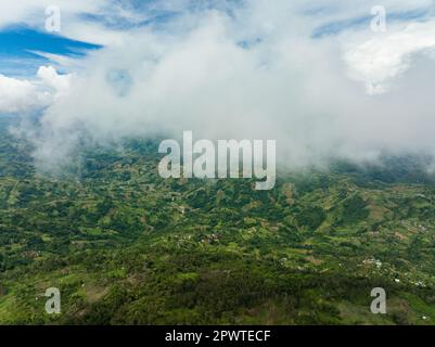 Terres agricoles et plantes cultivées vues à travers les nuages dans une région montagneuse. Île de Cebu, Philippines. Banque D'Images