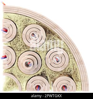 Tissu osseux gros plan à travers une coupe transversale d'un os - rendu -3D Banque D'Images