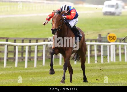 Honey Girl monté par le jockey Dylan Browne McMonagle sur leur chemin pour gagner le Coolmore Stud Circus Maximus Irish EBF Athasi Stakes à l'hippodrome de Curragh, comté Kildare. Date de la photo: Lundi 1 mai 2023. Banque D'Images