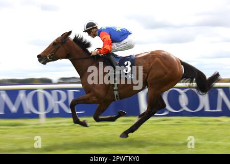 Honey Girl monté par le jockey Dylan Browne McMonagle gagne le Coolmore Stud Circus Maximus Irish EBF Athasi Stakes au Curragh Racecourse, dans le comté de Kildare. Date de la photo: Lundi 1 mai 2023. Banque D'Images