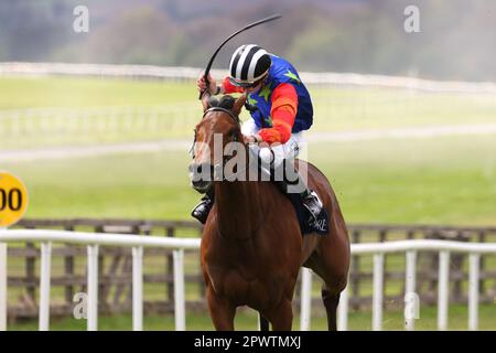 Honey Girl monté par le jockey Dylan Browne McMonagle gagne le Coolmore Stud Circus Maximus Irish EBF Athasi Stakes au Curragh Racecourse, dans le comté de Kildare. Date de la photo: Lundi 1 mai 2023. Banque D'Images