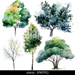 Aquarelle arbre main dessiner vecteur nature peinture Illustration de Vecteur