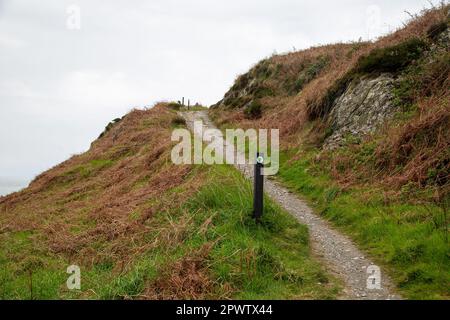 Glen Beach Cliff Walk, Wicklow Irlande Banque D'Images