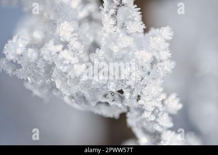 Les cristaux de glace ont gelé dans toutes les directions. De nombreuses formes texturées et bizarres ont été formées. Photo d'hiver de la nature Banque D'Images