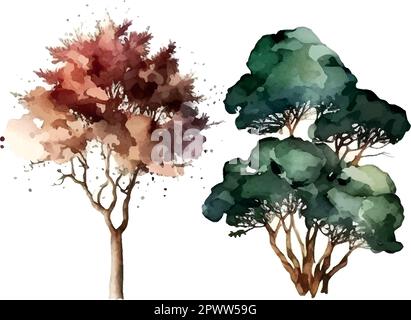 Aquarelle arbre main dessiner vecteur nature peinture Illustration de Vecteur