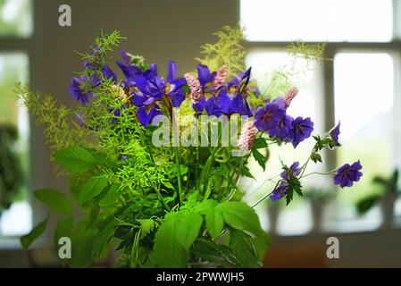 Bouquet violet coloré dans un vase pour éclairer une maison. Fleurs fraîches d'iris sibérien en fleurs et en fleurs de feuillage vert. Bouquet de fleurs vibrantes Banque D'Images