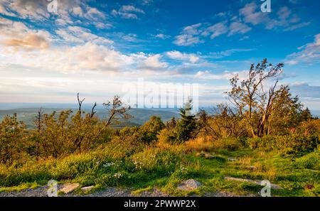 Paysage naturel surcultivé sur le sommet du Großer Feldberg dans le Taunus avec un horizon et une couverture de nuages décomposés Banque D'Images