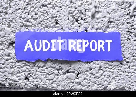 Texte montrant le rapport d'audit inspiration, Word pour une évaluation de la situation financière complète des actifs d'une entreprise Banque D'Images