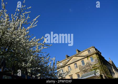 Queen Square, Bath, Angleterre, Royaume-Uni. 20th avril 2023. Banque D'Images