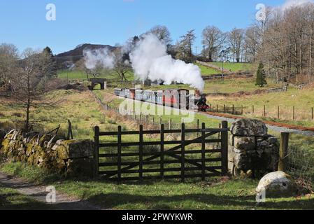 « River Esk » monte Hollins Bank sur 27.3.23 sur le chemin de fer Ravenglass & Eskdale. Banque D'Images