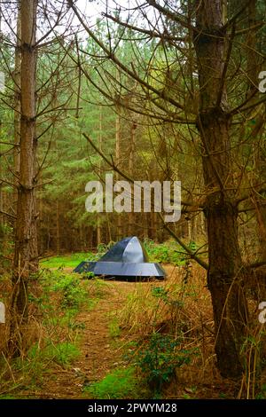 Le site d'atterrissage des ovnis la forêt de Rendlesham Suffolk Royaume-Uni. Banque D'Images