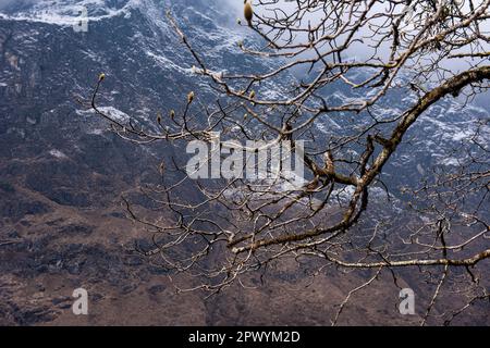 Lachung est une ville et station de colline dans le nord-est de Sikkim, Inde. Il est situé dans le quartier de Sikkim Nord près de la frontière avec le Tibet. Banque D'Images
