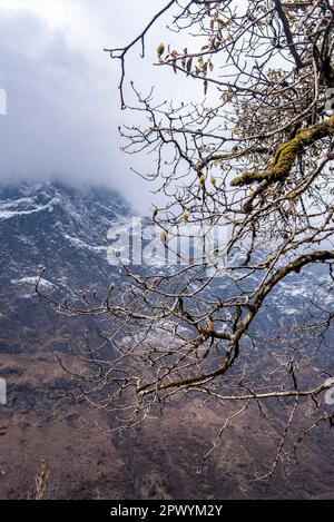 Lachung est une ville et station de colline dans le nord-est de Sikkim, Inde. Il est situé dans le quartier de Sikkim Nord près de la frontière avec le Tibet. Banque D'Images