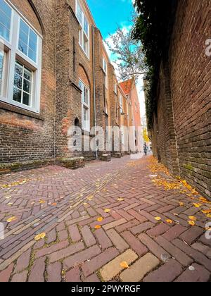 Delft, pays-Bas - 15 octobre 2021: Vue sur la rue et les scènes de la ville à Delft, une belle petite ville des pays-Bas. Banque D'Images