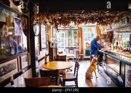 Homme assis au bar avec un chien au pub traditionnel White Horse Inn, Chilham, Kent, Angleterre, Royaume-Uni Banque D'Images