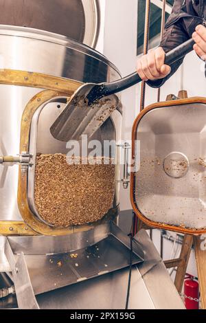L'écrasement de graines de malt broyé pour la préparation du malt. Processus de grain d'orge de brasserie. Banque D'Images