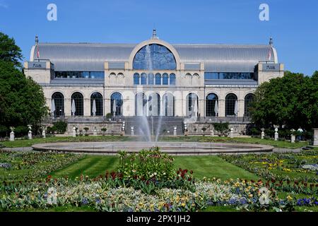 la flore historique de la salle des fêtes dans le jardin botanique de cologne Banque D'Images