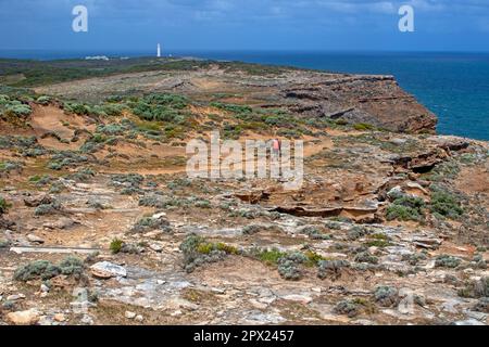 Randonnée sur le sentier de Cape Nelson, partie de la Great South West Walk Banque D'Images