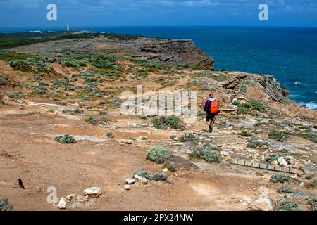 Randonnée sur le sentier de Cape Nelson, partie de la Great South West Walk Banque D'Images