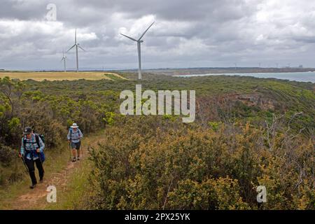 Randonnée à Cape Nelson, partie de la Great South West Walk Banque D'Images