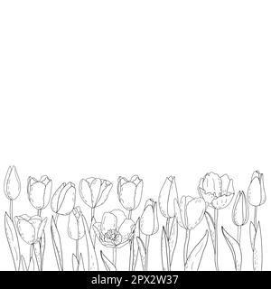 Tulipes graphiques vectorielles dessinées à la main, silhouettes de fleurs d'été, carte postale avec un bouquet linéaire de tulipes de printemps, herbes, herbes et feuilles, floral Illustration de Vecteur