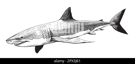 Croquis représentant un requin dessiné à la main dans une illustration de style Doodle Illustration de Vecteur